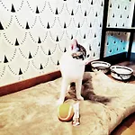 Otel Matilde By Gaiarooms