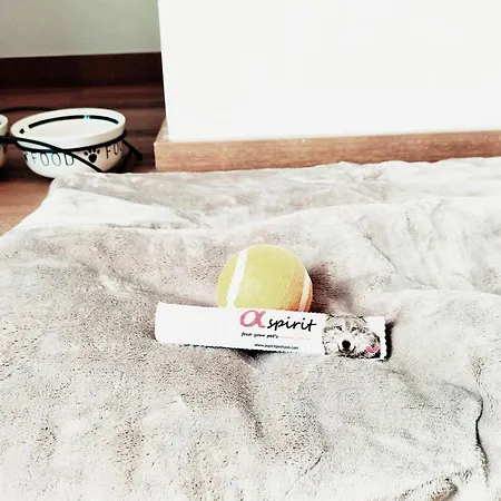 Matilde By Gaiarooms Salamanka