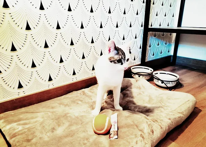 Hotel Matilde By Gaiarooms