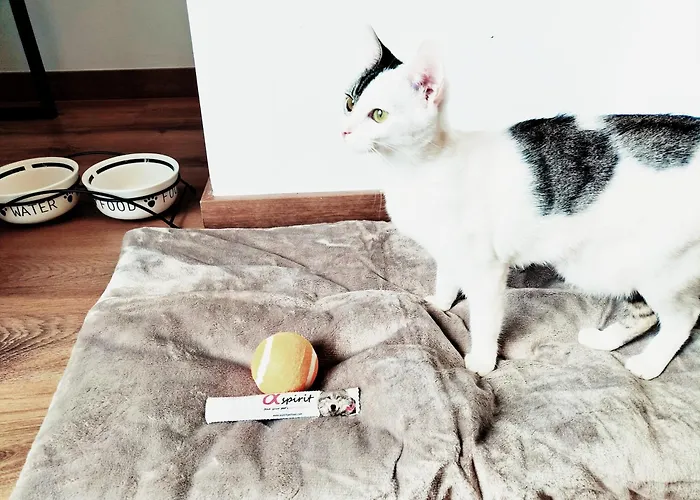 Hotel Matilde By Gaiarooms 2*