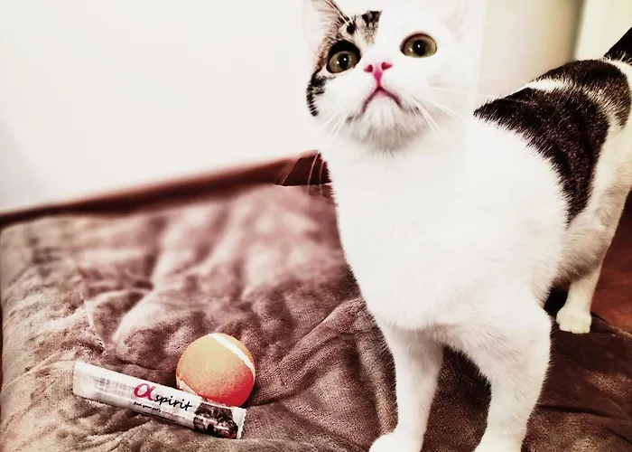 Hotel Matilde By Gaiarooms Salamanka